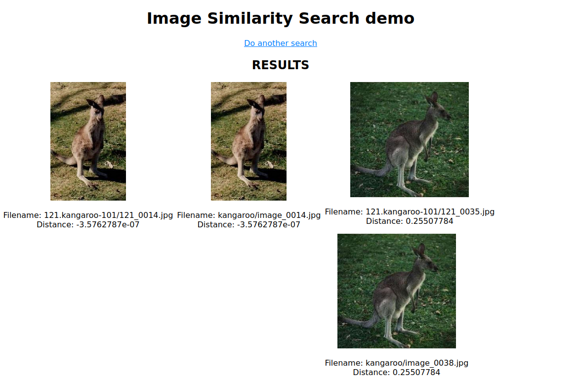 Search for kangaroo