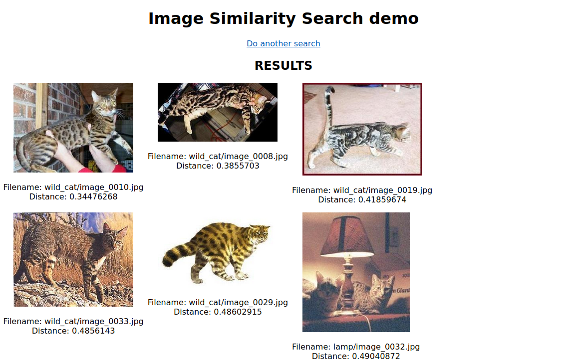 Search for cats
