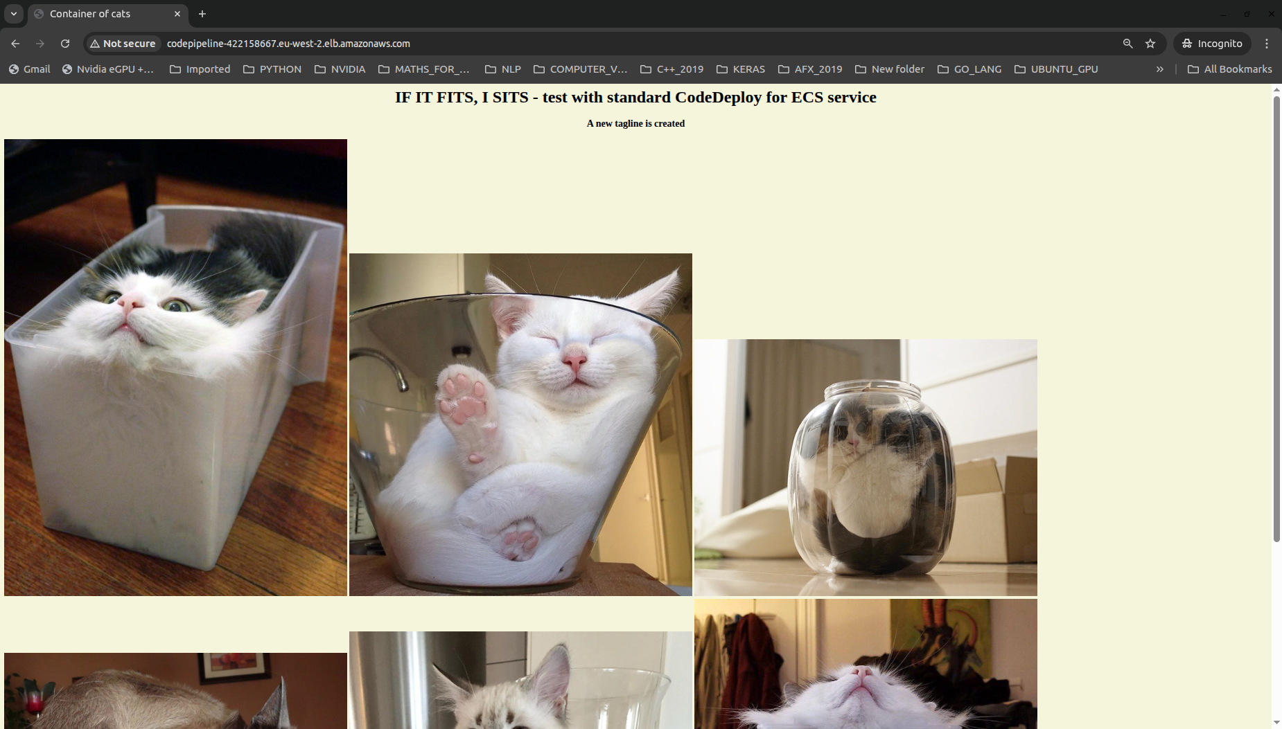 Updated Web App