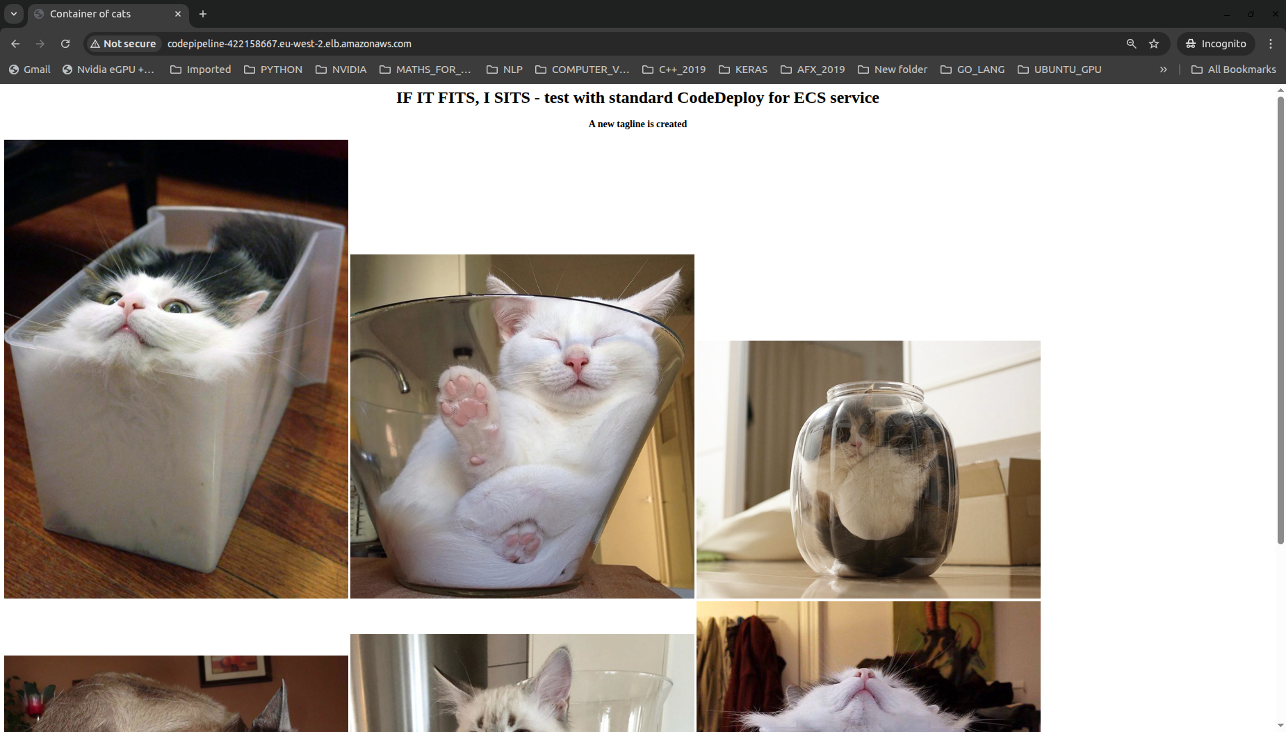 Web App